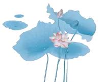 何湛兮:荷花的别名与诗词