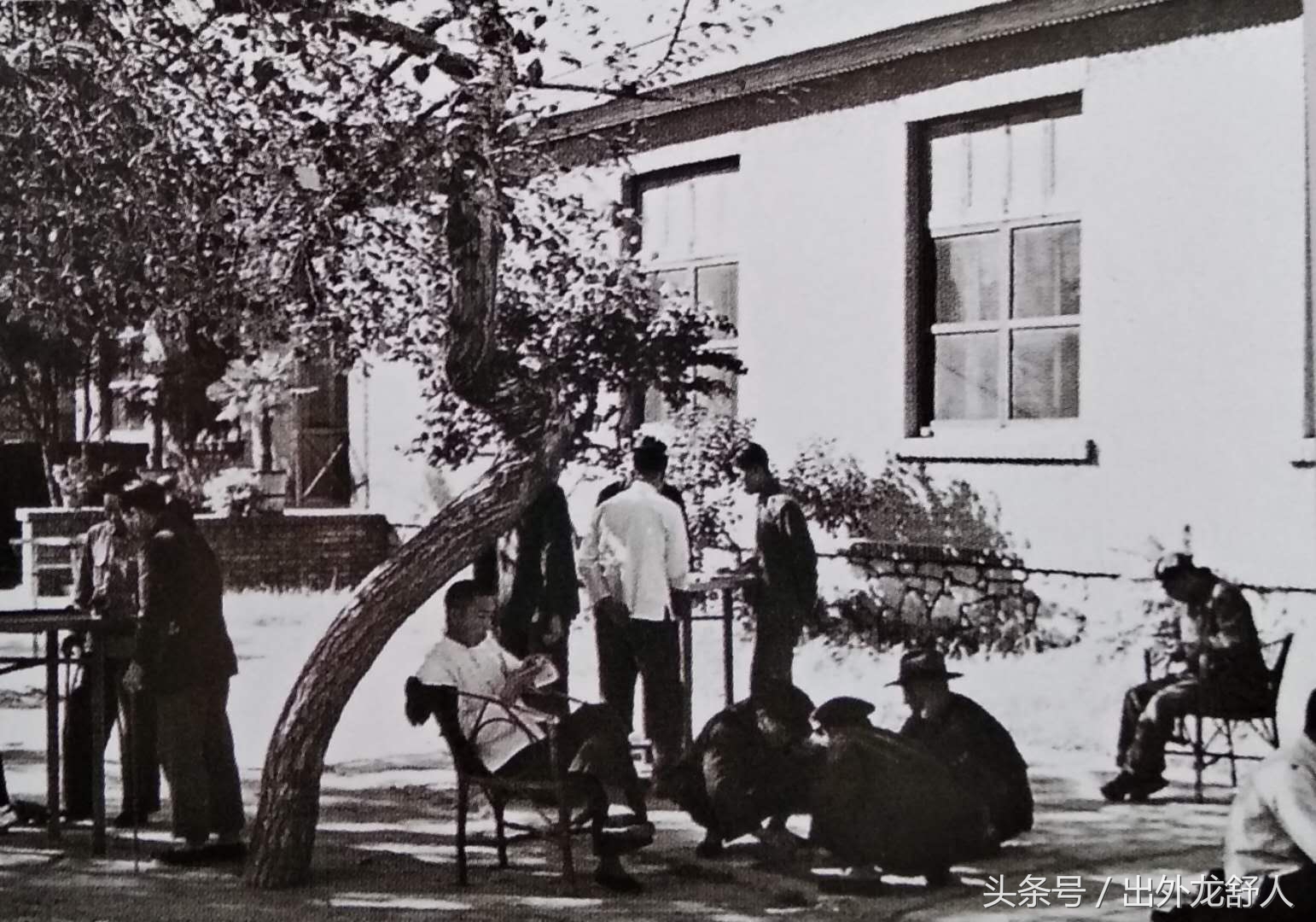 唐山大地震时唐山什么样子,唐山从大地震到现在的发展