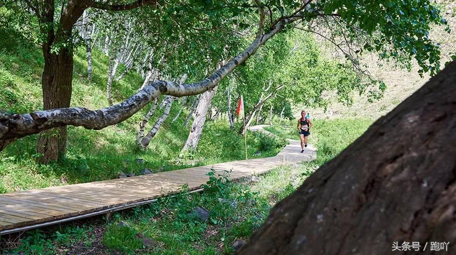 你为什么喜欢徒步登山,你为什么喜欢跑步呢