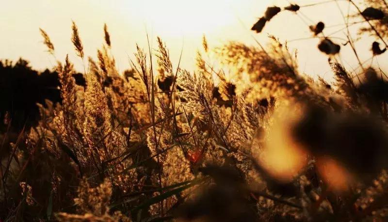 暌违十年,龙应台天长地久经典片段