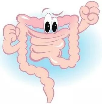 「蔡依憬」肠易激成因的科学猜想