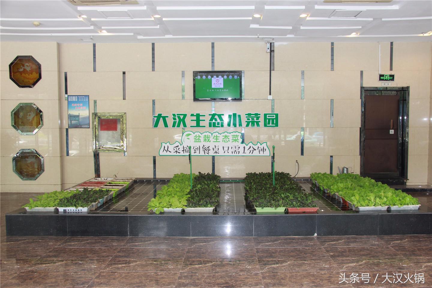 欢迎领导到我市指导工作,欢迎领导到公司参观指导