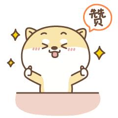 中国学生跳绳比赛世界冠军,小学生跳绳世界杯赛