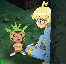 宠物小精灵初始宝可梦,宠物小精灵三个初始精灵