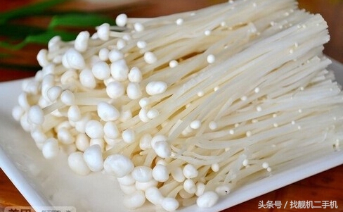 金针菇消化不了会直接拉出来吗,为什么金针菇不容易被消化