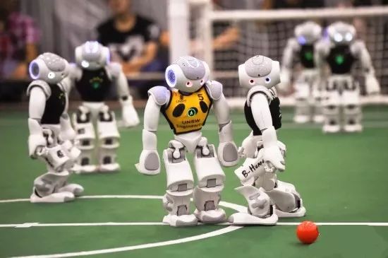 快乐暑假实践营,快乐暑假活动来袭