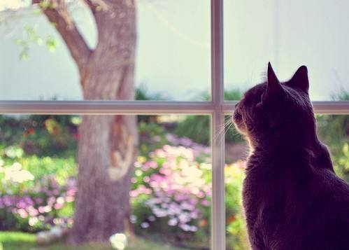 情侣分手最后的体面的道别,情侣分手后最后的道别