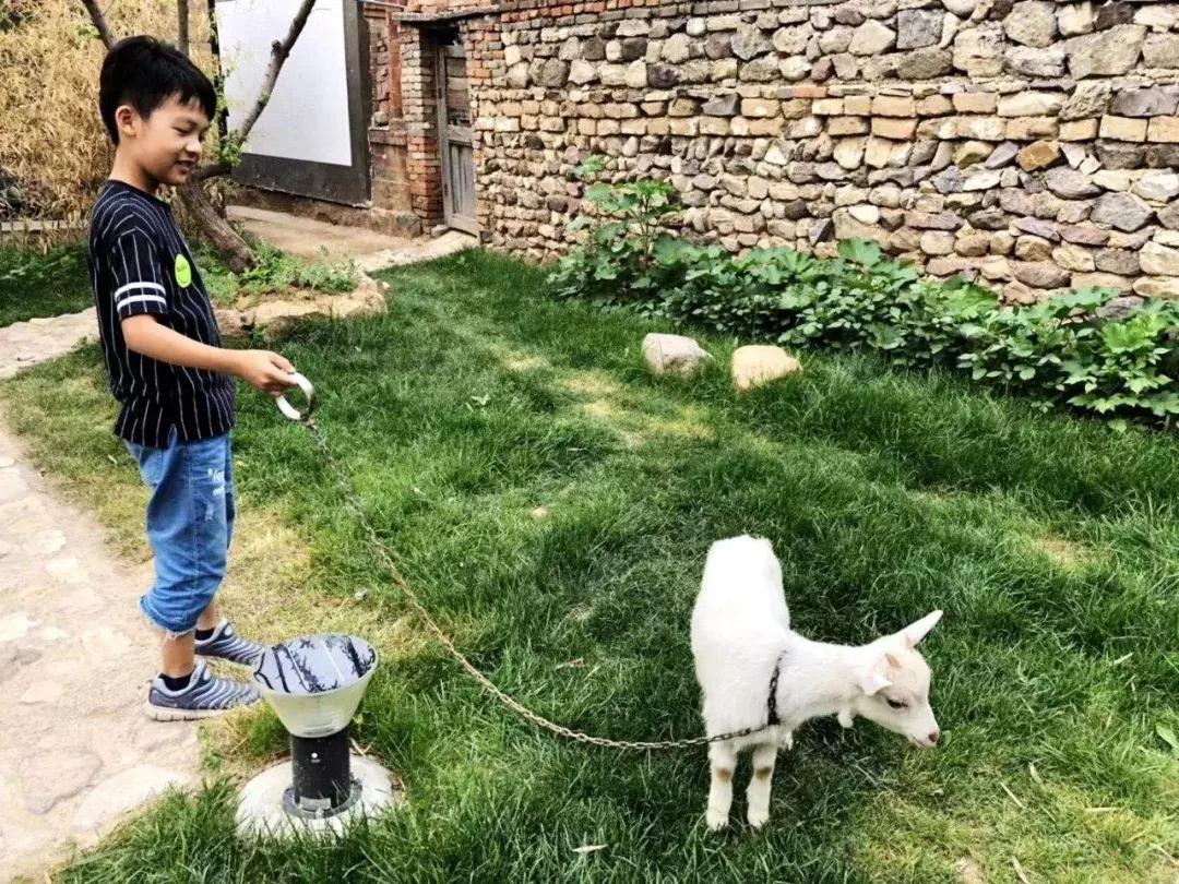 百里山水画廊四季花海,周末美好时光畅游千亩花海