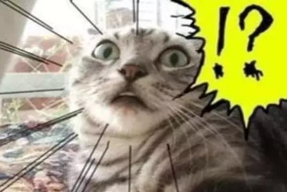 一言不合就开怼？你可能连“怼”字读音都没读对……