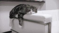 南阳美食推荐必吃的外卖,南阳市十大必吃老店