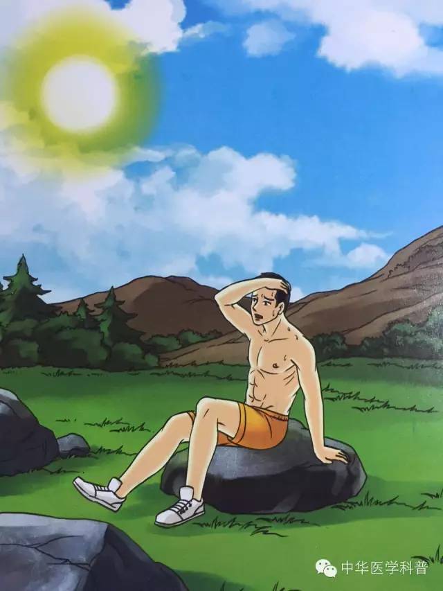 中暑急救常识大全,猫咪中暑的急救常识