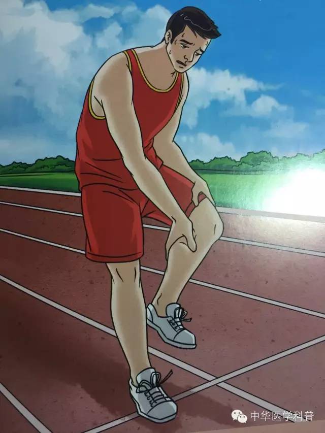 中暑常识100例,宠物中暑的急救常识