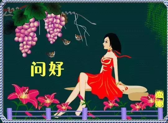 早上好配图鲜花表情图,鲜花祝福表情包早上好