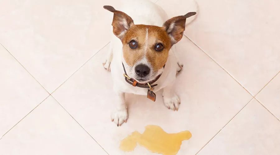 20个错误的生活小常识,生活中的十大误区视频