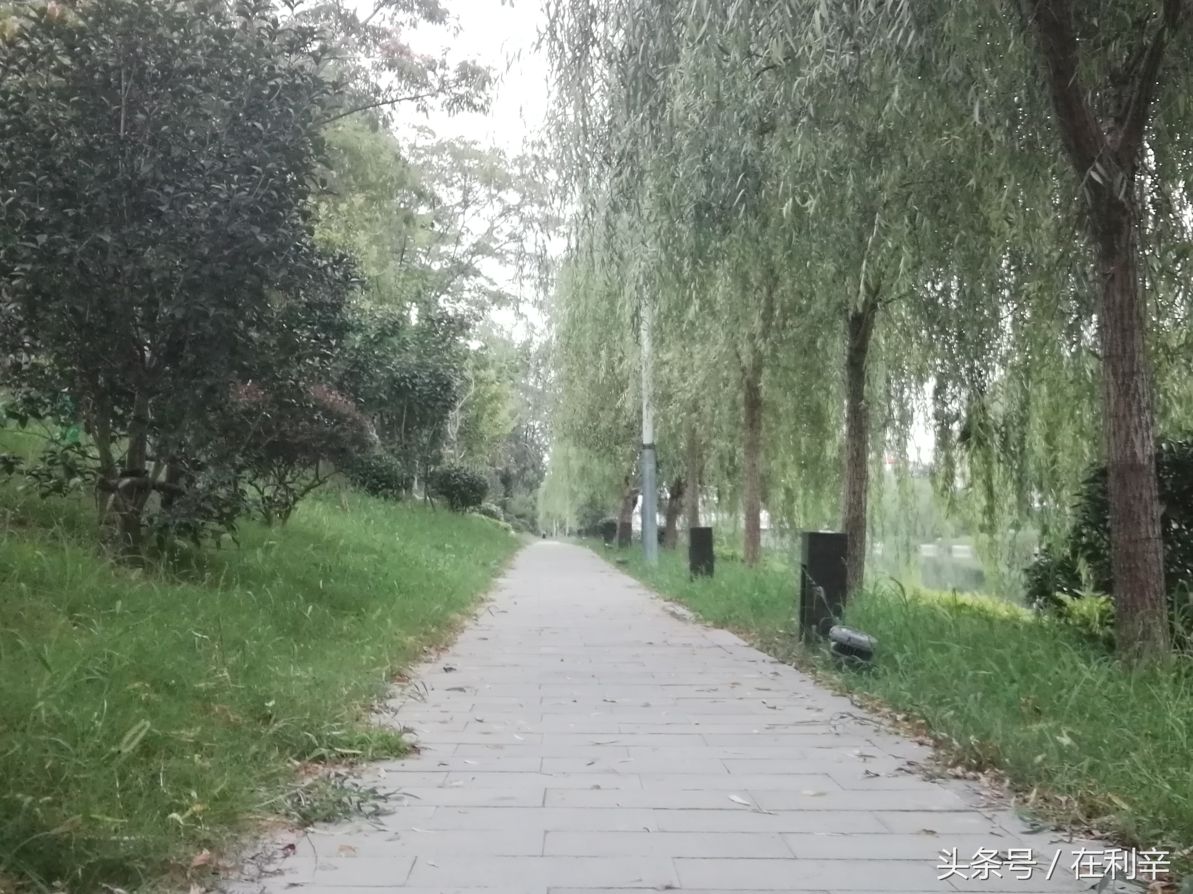 利辛日常生活,亳州利辛县日常生活