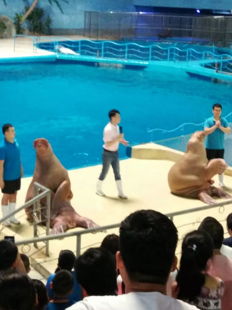 关爱困境儿童夏令营,关爱留守困境儿童夏令营亮点