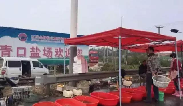 开渔哪种海鲜好吃,开渔了哪里吃海鲜