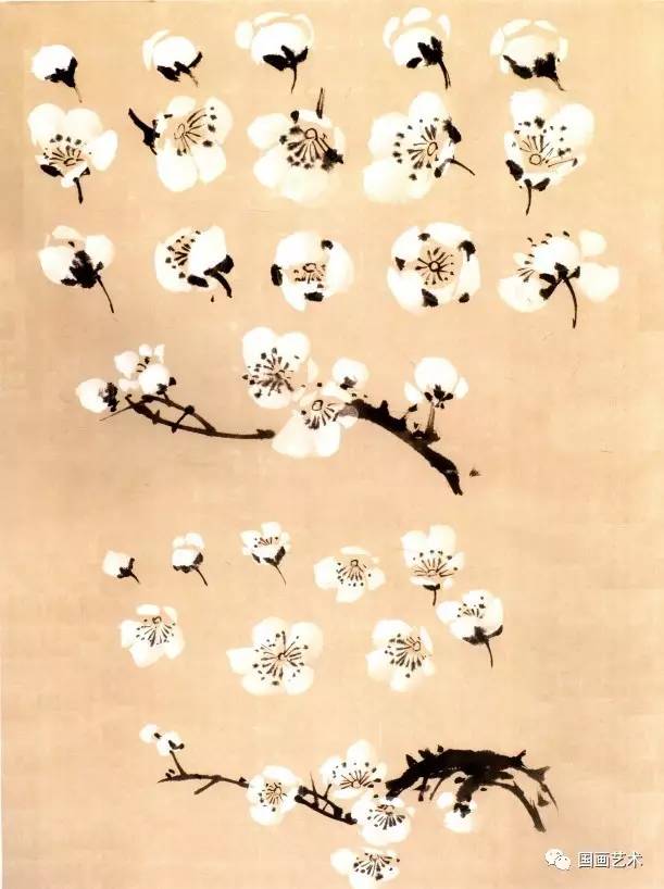 转画教学,中国画零基础入门画梅花