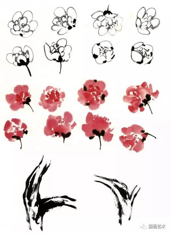 转画教学,中国画零基础入门画梅花