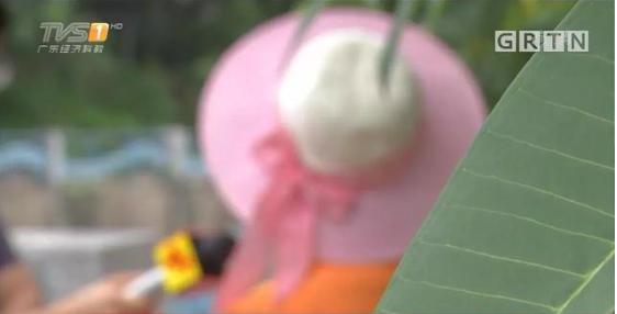 地下代孕黑链调查：14岁少女被骗卖卵，85万一条龙包成功！