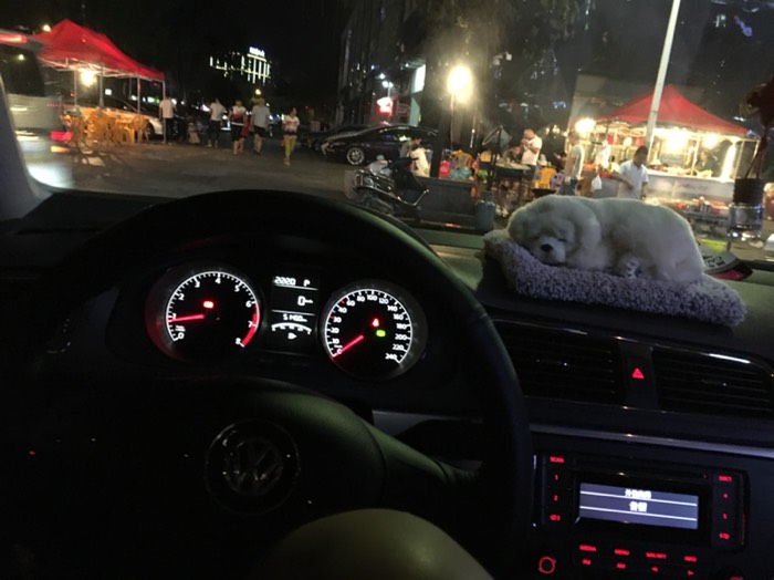 23款朗逸地板油起步,朗逸2023款车主用车体验