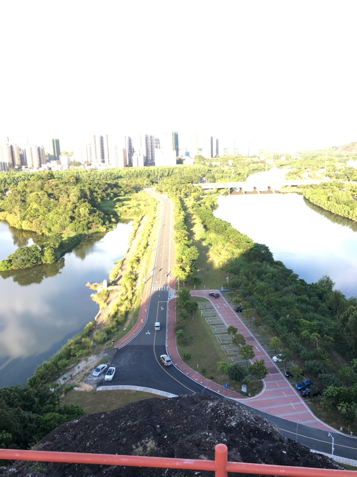 23款朗逸地板油起步,朗逸2023款车主用车体验