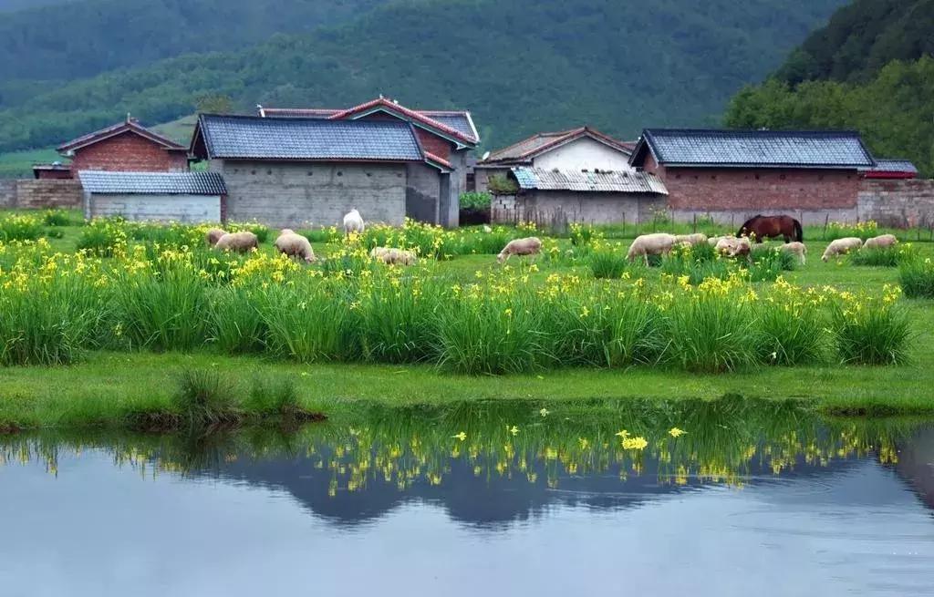夏天应该怎么去旅游凉快,为什么夏天是最好的旅行时间