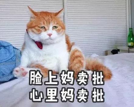 支付宝被盗刷不能理赔怎么解决,支付宝被盗真的可以赔100万吗