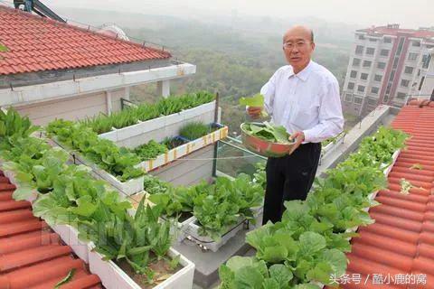 论种族天赋，在下是彻底输给了这波神操作了！