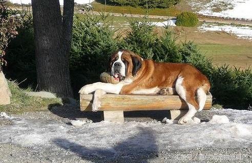 同是一个药为什么价格差好几倍,同样的感冒药为什么价格差好多