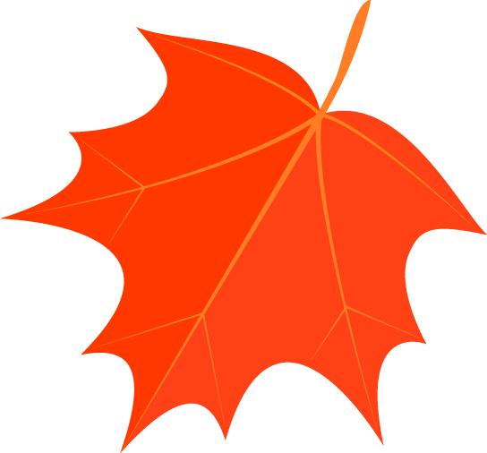 骨科专家挂号费用一般多少,要求取消专家挂号费