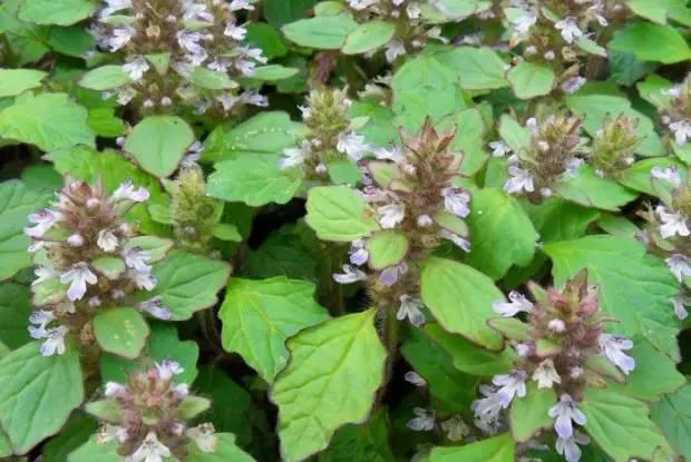 南阳人还去什么医院？你脚底下就是药房！