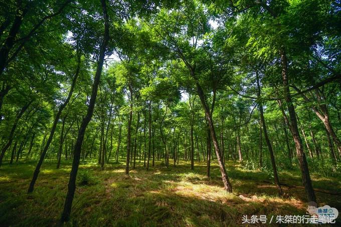 鍐榫欏彛鏃呮父鏀荤暐,鑳朵笢榫欏彛鏃呮父鏀荤暐