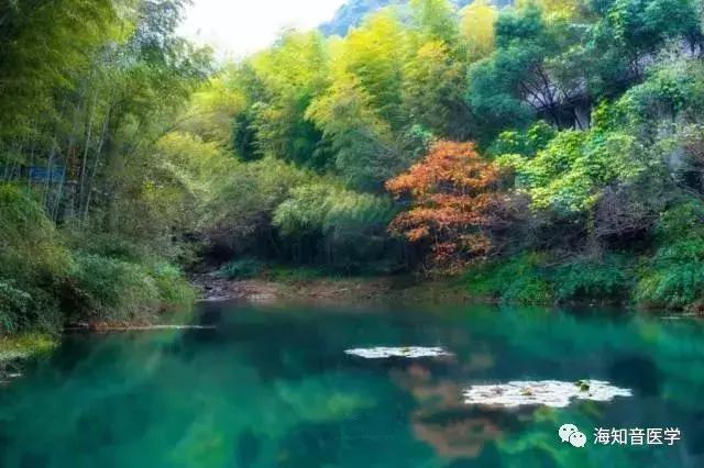 醉美中国——江苏