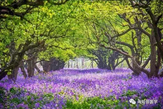 醉美中国——江苏