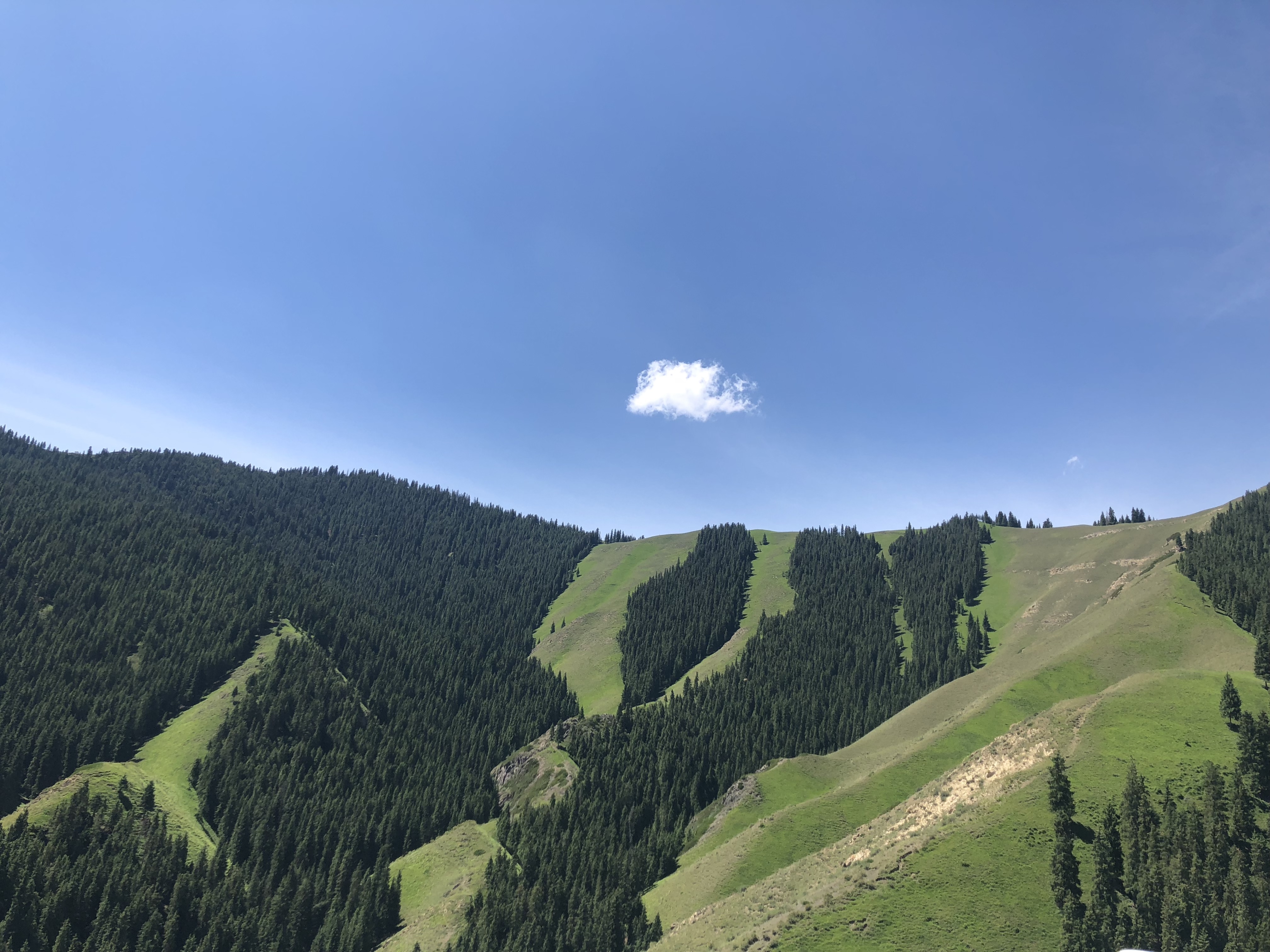 乌鲁木齐到索尔巴斯陶怎么走,索尔巴斯陶避暑