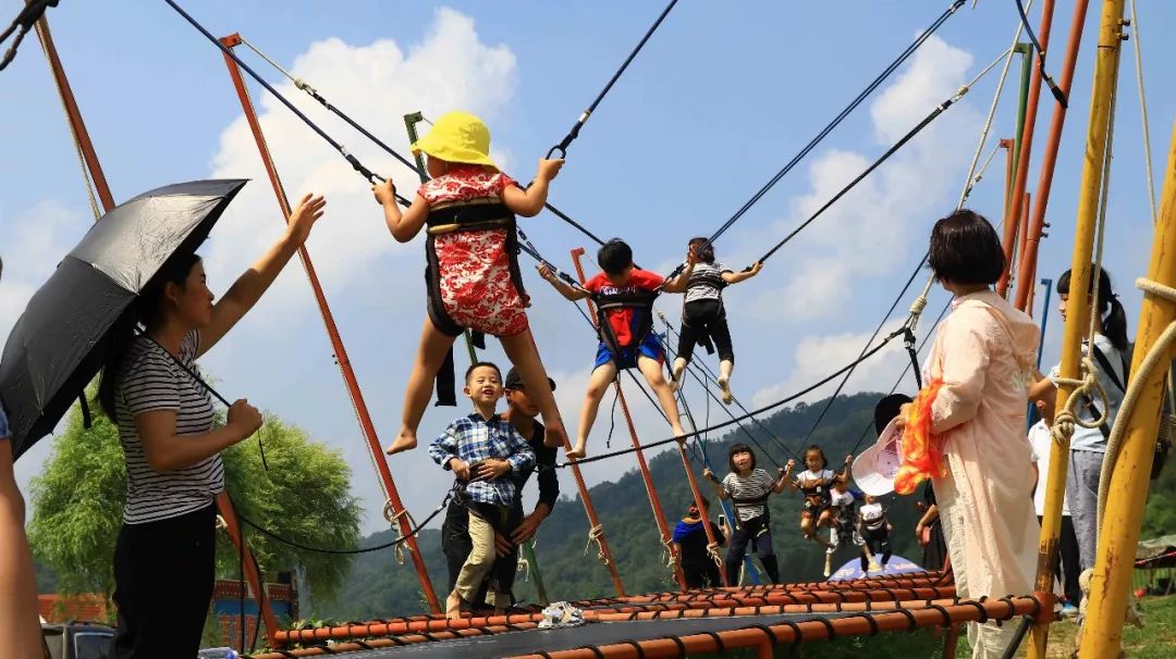 人从众的模式,人从众