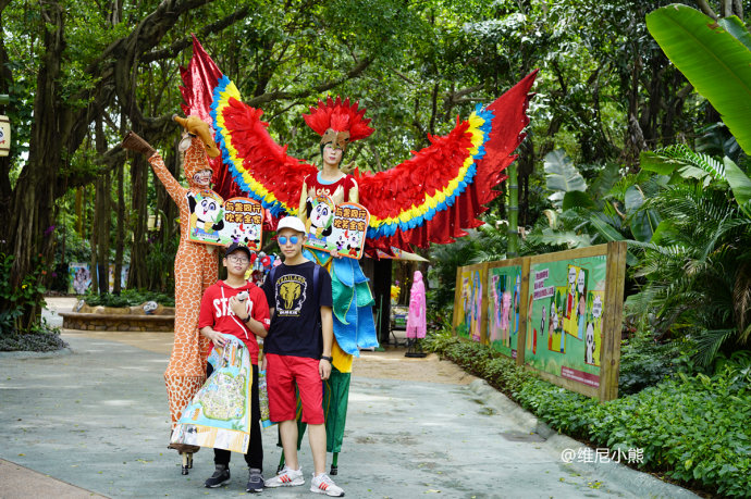 暑假珠海长隆最全游玩攻略,珠海长隆海洋王国暑假门票多少钱