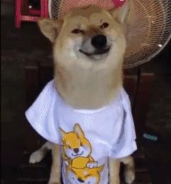 深圳最新的一个超级公园,深圳美景免费景点