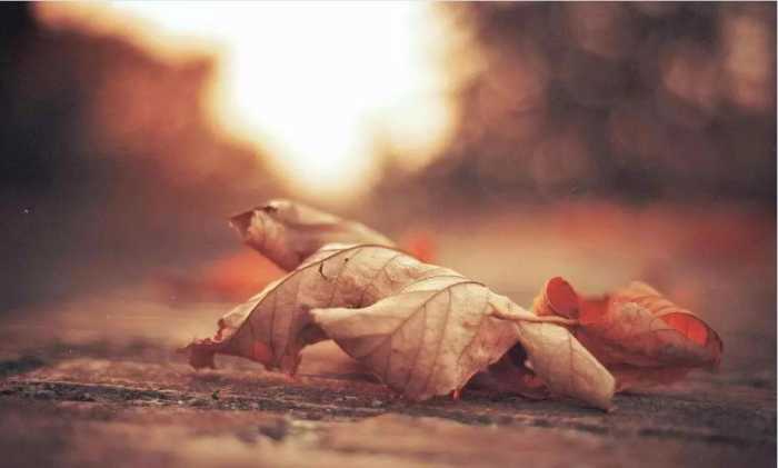 3000潘多拉手链,三百的潘多拉手链