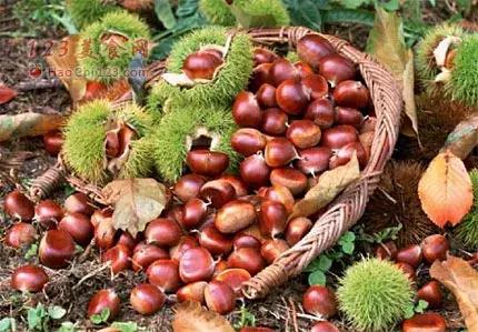 宣城，我宣你！