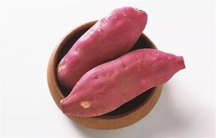 红薯和螺蛳打窝钓大青鱼的技巧,怎么用红薯做青鱼和草鱼的饵料