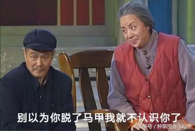 晚安粉到底是真的吗,晚安秘密粉饼