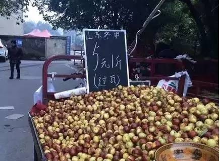 遂宁特色文化,遂宁独特的文化与习俗