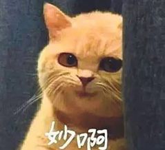 速看！刚刚发布大消息！8月起牙齿矫正、种植牙这10项费用全免！