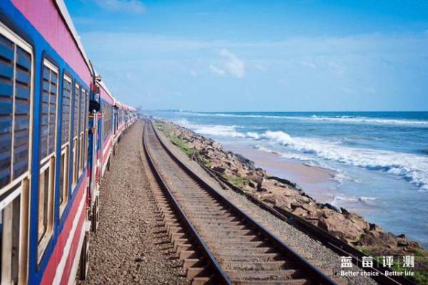 蓝莓评测美国蓝莓,蓝莓评测