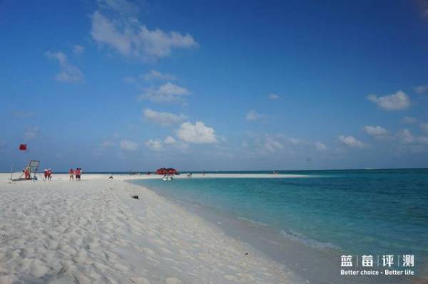 蓝莓评测美国蓝莓,蓝莓评测