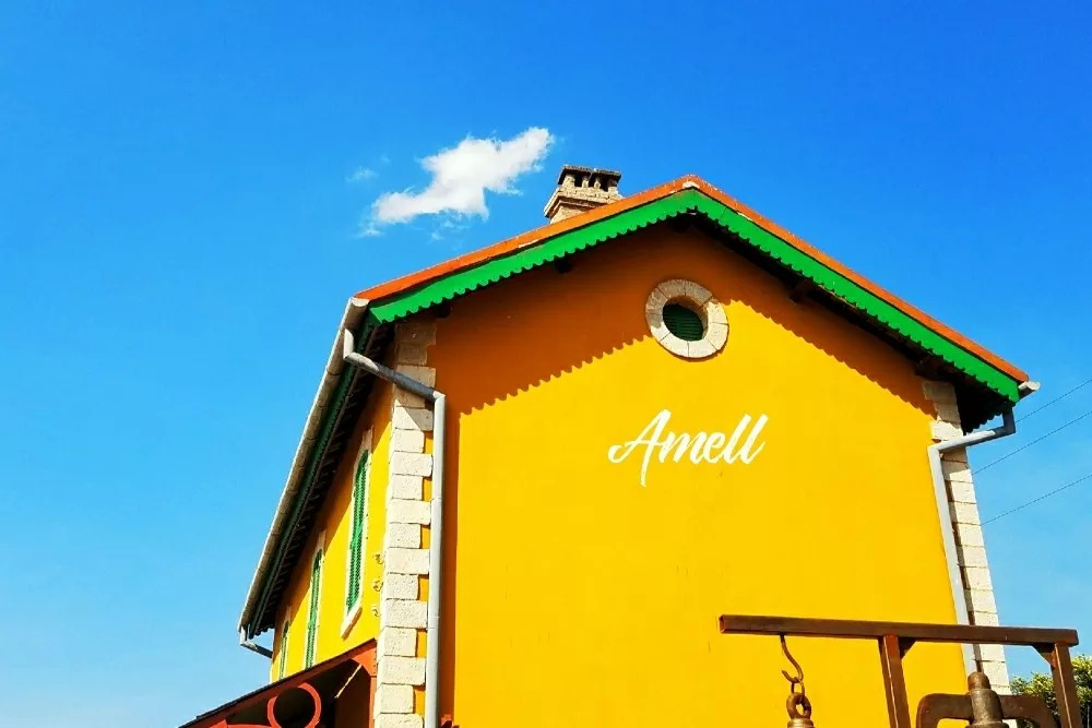 云南奇葩,云南奇葩视频