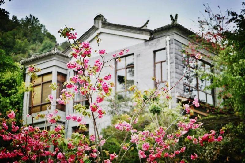 入秋时节，寻一抹火山热海治愈蓝