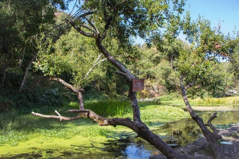 入秋时节，寻一抹火山热海治愈蓝